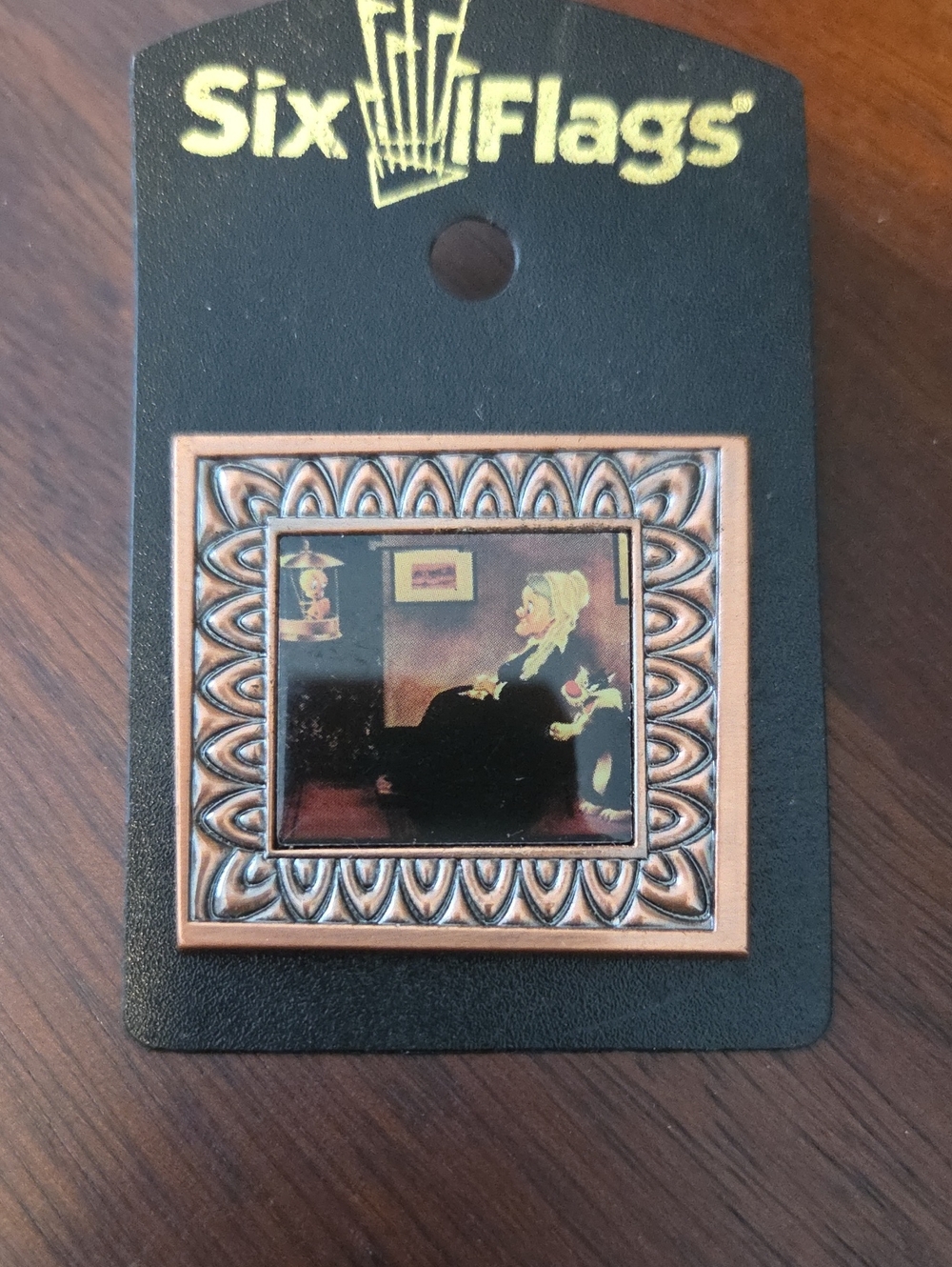 Six Flags Collector's Tweety And Sylvester Pin Coppertone Frame W B Movie World